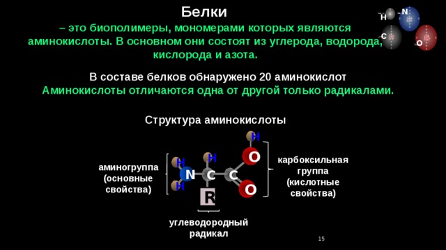  Белки N H – это биополимеры, мономерами которых являются аминокислоты. В основном они состоят из углерода, водорода, кислорода и азота. C O В составе белков обнаружено 20 аминокислот Аминокислоты отличаются одна от другой только радикалами. Структура аминокислоты H O карбоксильная группа (кислотные свойства) H H аминогруппа (основные свойства) N C C O H R углеводородный радикал 15 