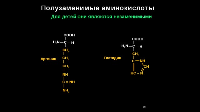 Полузаменимые аминокислоты Для детей они являются незаменимыми COOH COOH H 2 N C H H 2 N C H CH 2 CH 2 CH 2 Гистидин Аргинин  NH C CH 2 СН HC – N NH C = NH NH 2 18 