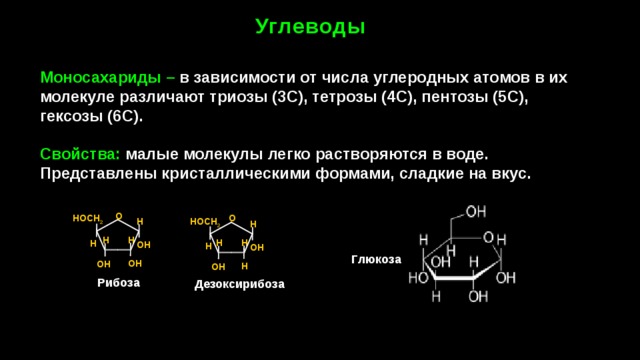 Углеводы Моносахариды – в зависимости от числа углеродных атомов в их молекуле различают триозы (3С), тетрозы (4С), пентозы (5С), гексозы (6С).  Свойства: малые молекулы легко растворяются в воде. Представлены кристаллическими формами, сладкие на вкус. О О НОСН 2 Н НОСН 2 Н Н Н Н Н Н ОН Н ОН Глюкоза ОН ОН Н ОН Рибоза Дезоксирибоза 