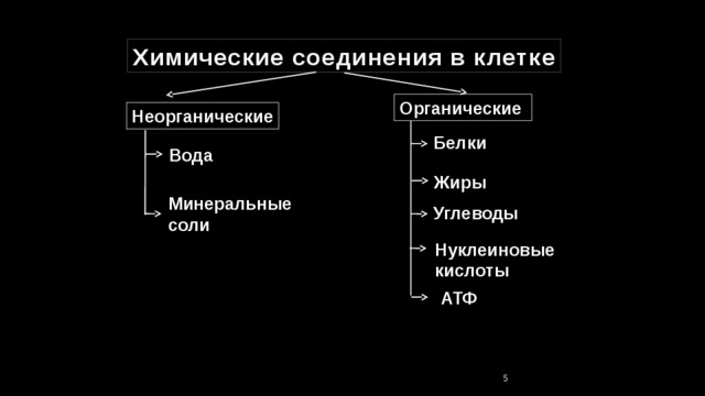 Химические соединения в клетке Органические Неорганические Белки Вода Жиры Минеральные соли Углеводы Нуклеиновые кислоты АТФ 2 2 