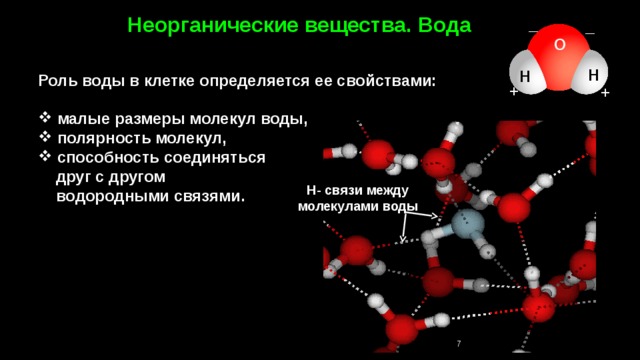 Неорганические вещества. Вода _ _ О H Н Роль воды в клетке определяется ее свойствами:   малые размеры молекул воды,  полярность молекул,  способность соединяться  друг с другом  водородными связями. + + Н- связи между молекулами воды 7 