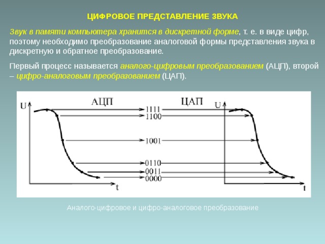 В какой форме хранится звук в компьютере выберите один ответ в дискретной в аналоговой