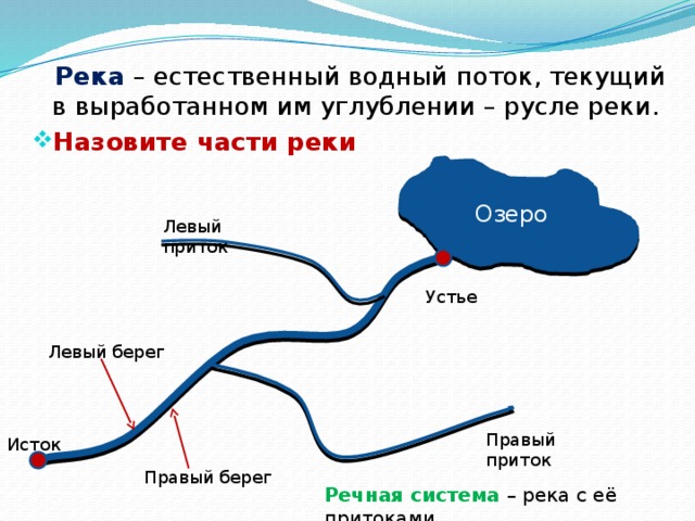 Соотнеси части речной системы с точками на изображении география 6 класс