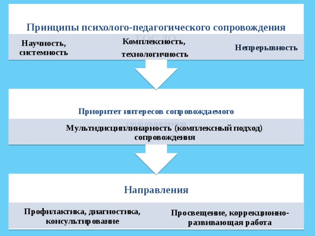 Принципы сопровождение