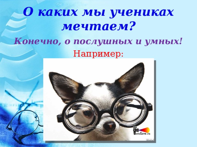 О каких мы учениках мечтаем? Конечно, о послушных и умных! Например: 