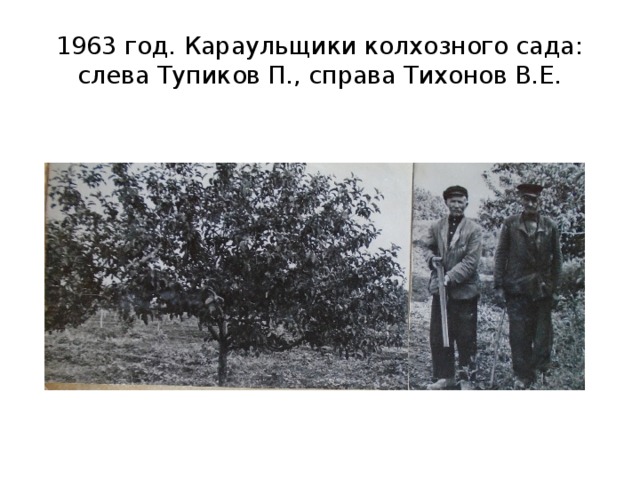 1963 год. Караульщики колхозного сада: слева Тупиков П., справа Тихонов В.Е. 