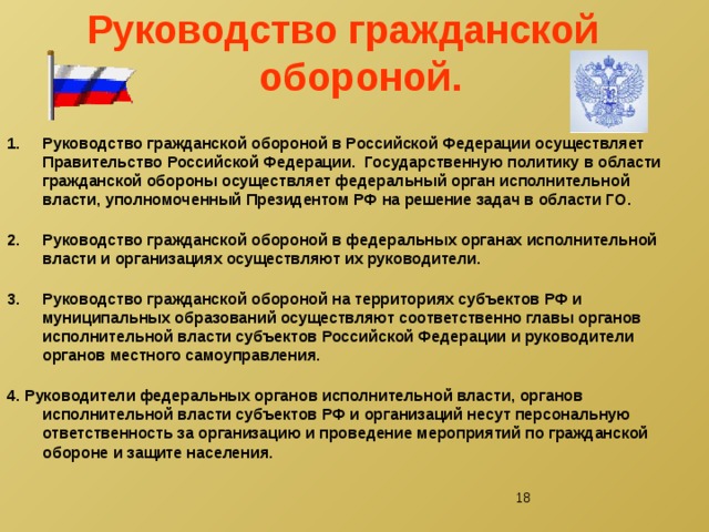 Несет персональную ответственность перед президентом рф. Руководство гражданской обороной. Кто осуществляет руководство гражданской обороной. Руководство гражданской обороны в Российской Федерации осуществляет. Руководство гражданской обороной в организации осуществляет.