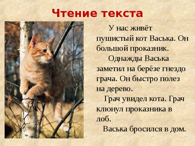 План сказки кот