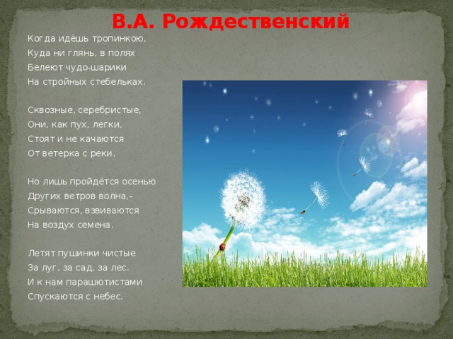 Куда будут двигаться отрицательно заряженные пушинки. Когда идешь тропинкою куда ни глянь. Куда ни глянь в лесу как в волшебной сказке. Стихотворение воздуха воздуха Рождественский. Летят пушинки чистые за луг, за сад, за лес.