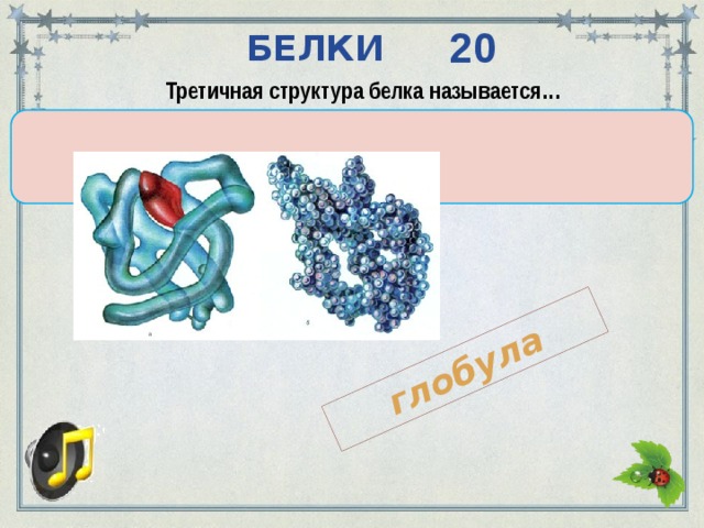 глобула 20 БЕЛКИ Третичная структура белка называется… Так о ком же я, о ком? Кто с квакушею знаком? Комара взяла на мушку круглопузая … 