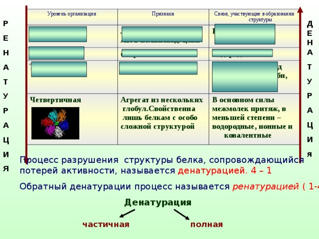 Практическая работа белки 10 класс химия. Зашьет каких связей образуется четвертичная связь.