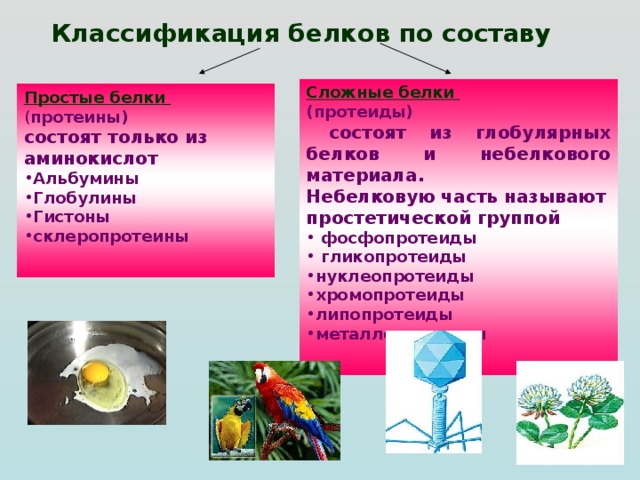 Классификация белков презентация