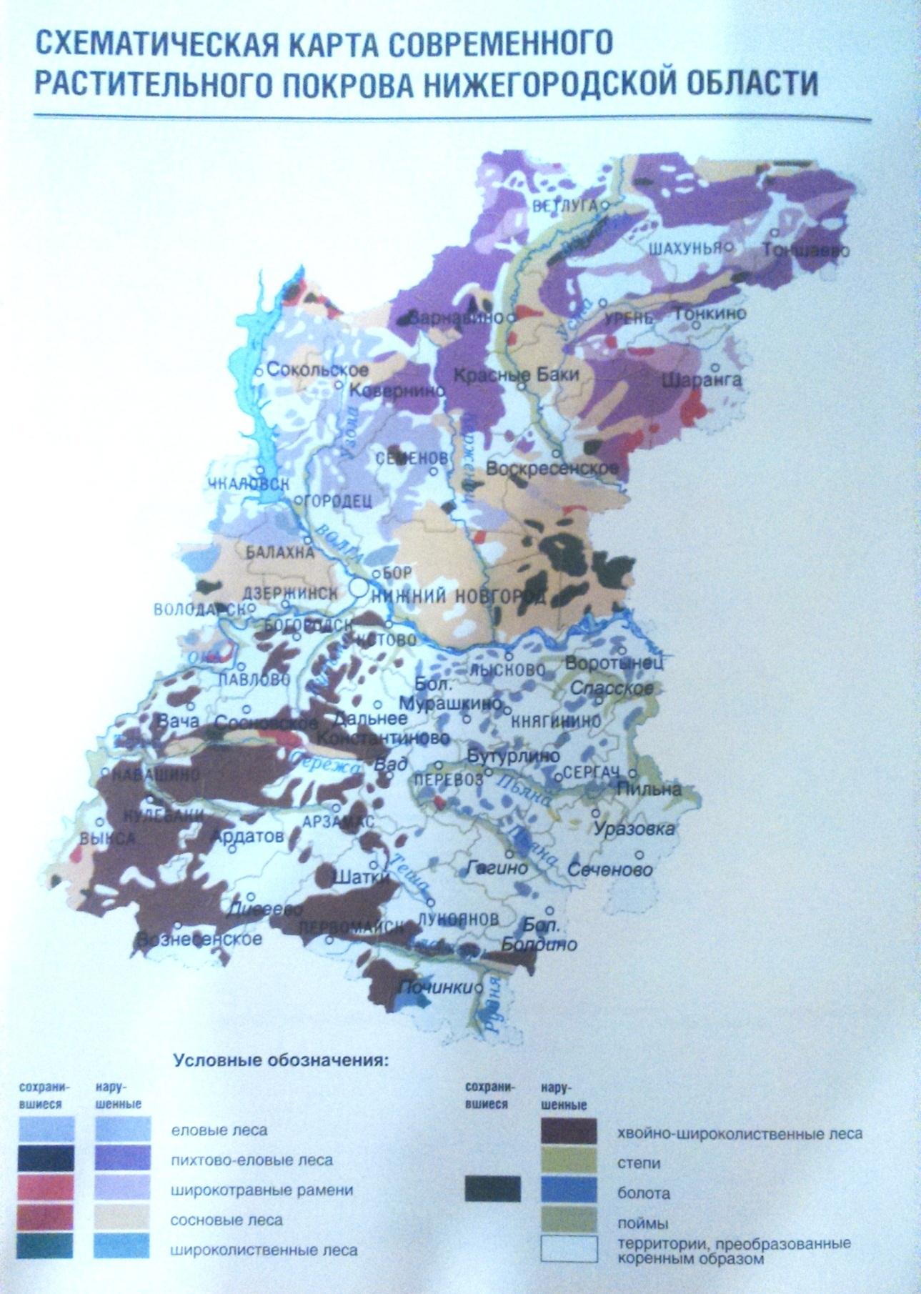 Природные ресурсы нижегородской области карта