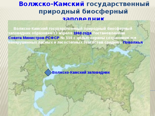 Волжско камский государственный природный биосферный заповедник презентация