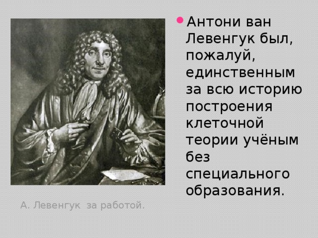 А левенгук. Ван Левенгук. Левенгук ученый. Роберт Ван Левенгук. Антони Ван Левенгук.