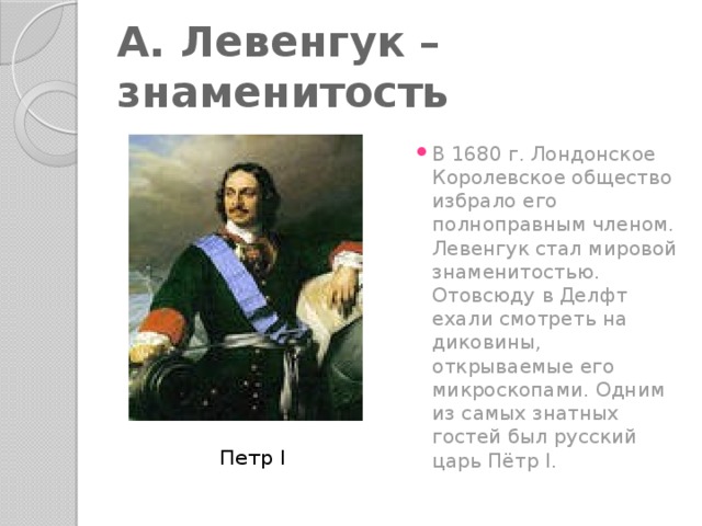А. Левенгук – знаменитость В 1680 г. Лондонское Королевское общество избрало его полноправным членом. Левенгук стал мировой знаменитостью. Отовсюду в Делфт ехали смотреть на диковины, открываемые его микроскопами. Одним из самых знатных гостей был русский царь Пётр I. Пётр Петр I 