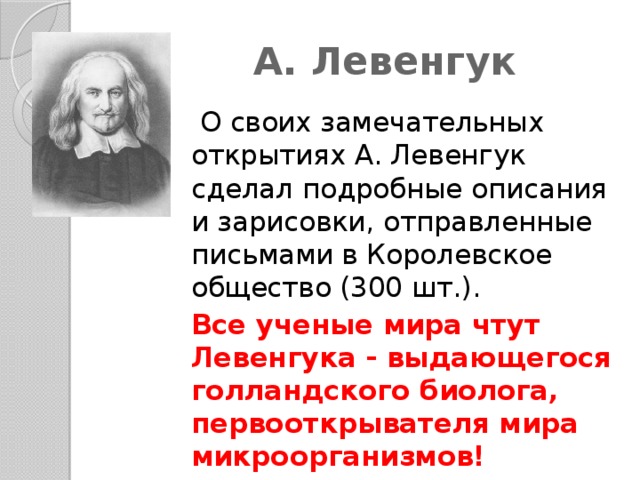 А левенгук. Левенгук открытия. Мир Левенгука. Левенгук что сделал. Левенгук открыл.