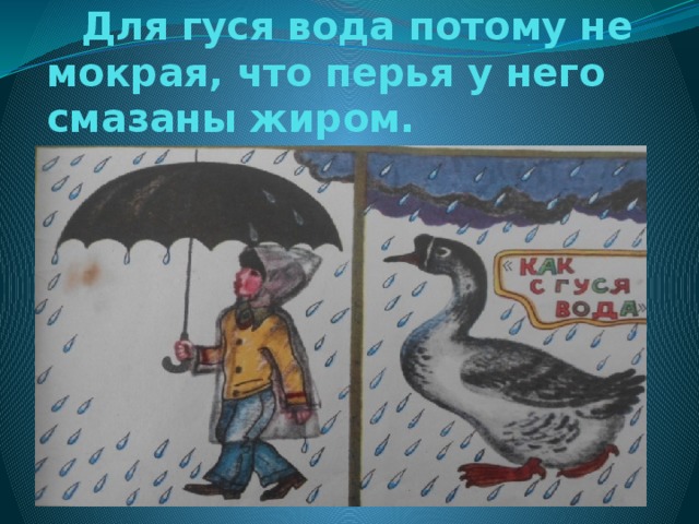 Рисунок как с гуся вода