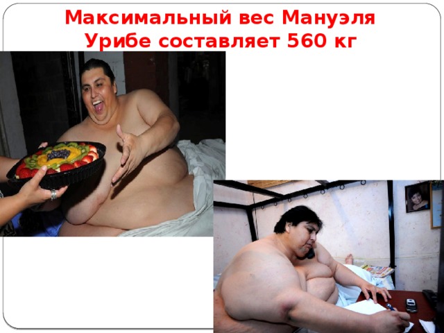 Максимальный вес Мануэля Урибе составляет 560 кг 