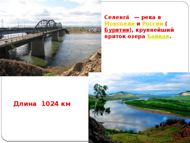 Селенга́   — река в Монголии и России ( Бурятия ), крупнейший приток озера Байкал . Длина 1024 км 