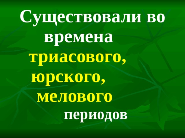  Существовали во времена  триасового, юрского, мелового периодов 