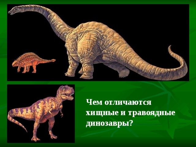 Чем отличаются хищники. Травоядные динозавры названия. Динозавры хищники и травоядные. Динозавры плотоядные и травоядные. Динозавры картинки с названиями.