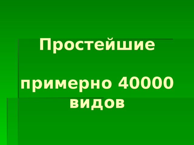 Простейшие   примерно 40000 видов 