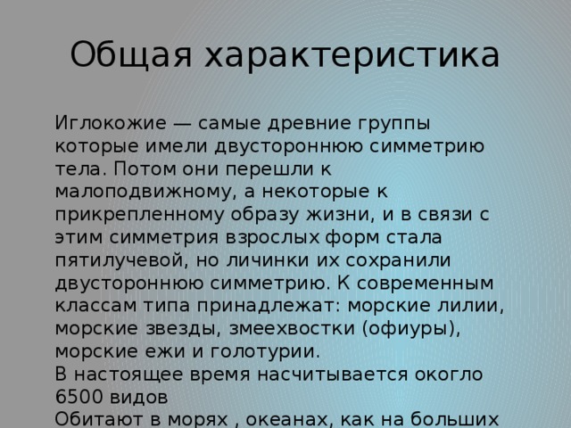 Тип иглокожие классы таблица