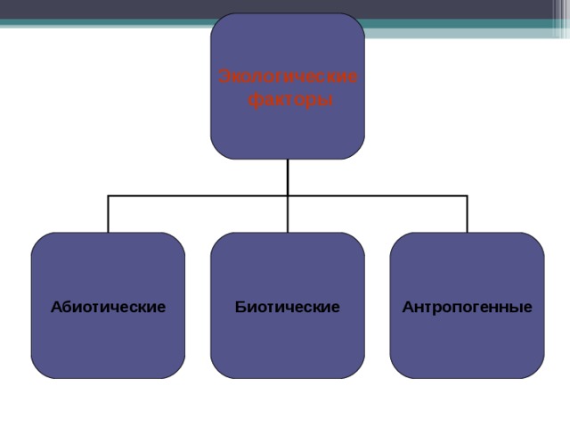 Биотические и антропогенные факторы презентация