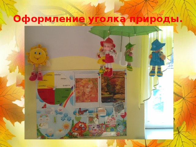 Оформление уголка природы. 