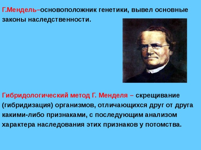 Генетика как наука методы генетики г мендель. Мендель основоположник генетики. Гибридологический метод изучения наследственности Менделя.