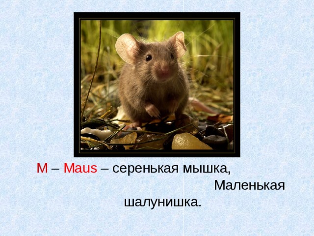  М – Maus – серенькая мышка, Маленькая шалунишка. 