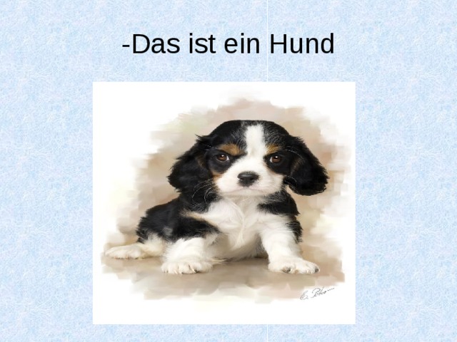 -Das ist ein Hund 