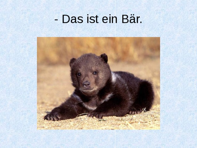 - Das ist ein Bär. 