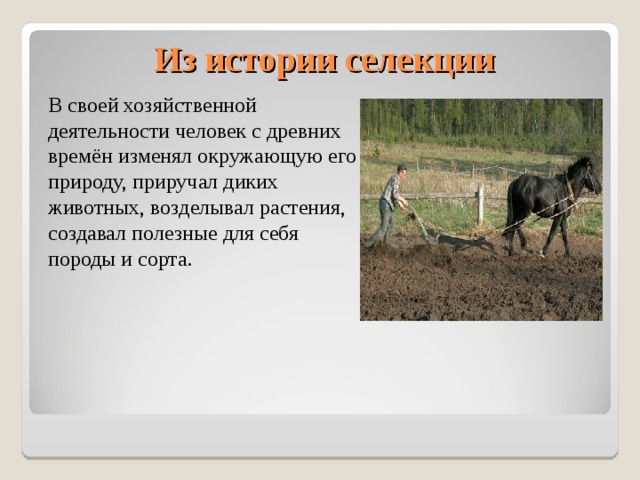 Значение селекции. Из истории селекции. Зарождение селекции. Селекция одомашнивание животных и растений.