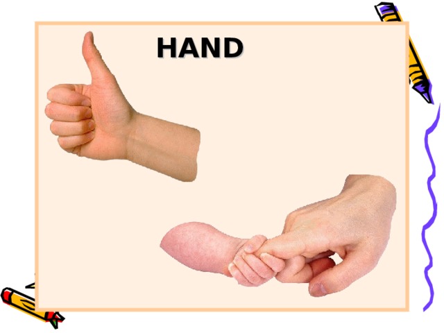 HAND 