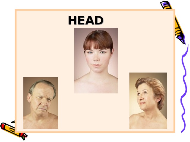 HEAD 