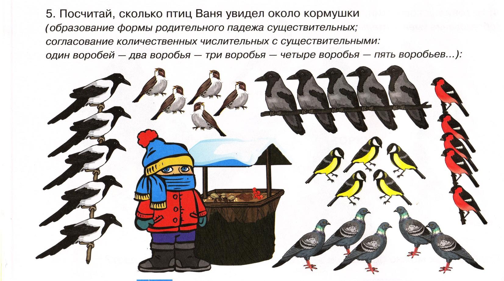 Перелетные птицы 1 младшая группа. Задачи для дошкольников про зимующих птиц. Задания на тему зимующие птицы. Птицы задания для детей. Задания по теме зимующие птицы.