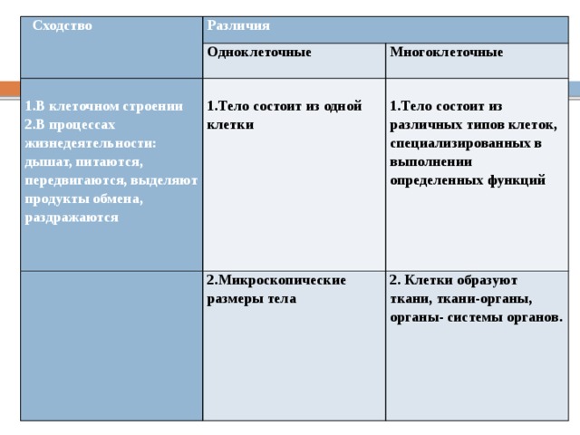 Какова роль в жизни одноклеточных и многоклеточных