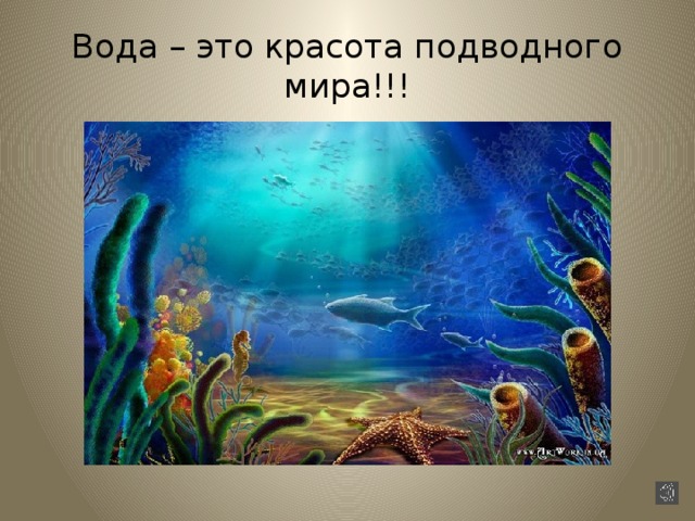 Вода – это красота подводного мира!!! 