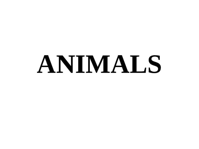 ANIMALS 