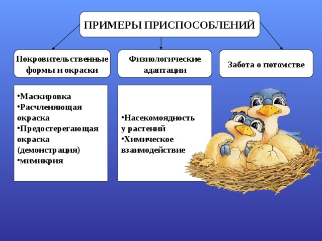 Примеры адаптации. Забота о потомстве примеры адаптации. Физиологическая приспособленность. Маскировка адаптация примеры. Физиологические приспособления животных.