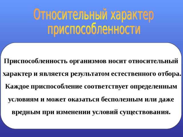 Относительный характер приспособлений. Почему приспособленность носит относительный характер. Приспособленность является результатом. Результатом чего является приспособленность. Почему приспособленность организмов носит относительный характер.