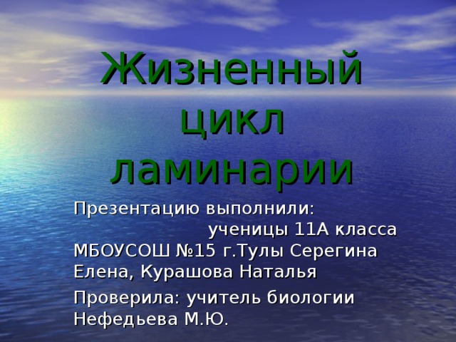 Жизненный цикл  ламинарии Презентацию выполнили: ученицы 11А класса МБОУСОШ №15 г.Тулы Серегина Елена, Курашова Наталья Проверила: учитель биологии Нефедьева М.Ю. 