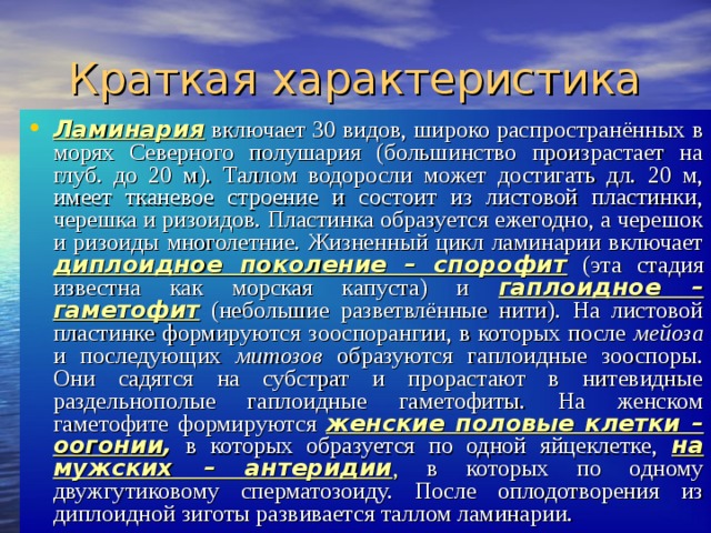 Краткая характеристика Ламинария включает 30 видов, широко распространённых в морях Северного полушария (большинство произрастает на глуб. до 20 м). Таллом водоросли может достигать дл. 20 м, имеет тканевое строение и состоит из листовой пластинки, черешка и ризоидов. Пластинка образуется ежегодно, а черешок и ризоиды многолетние. Жизненный цикл ламинарии включает диплоидное поколение – спорофит (эта стадия известна как морская капуста) и гаплоидное – гаметофит (небольшие разветвлённые нити). На листовой пластинке формируются зооспорангии, в которых после мейоза и последующих митозов образуются гаплоидные зооспоры. Они садятся на субстрат и прорастают в нитевидные раздельнополые гаплоидные гаметофиты. На женском гаметофите формируются женские половые клетки – оогонии , в которых образуется по одной яйцеклетке, на мужских – антеридии , в которых по одному двужгутиковому сперматозоиду. После оплодотворения из диплоидной зиготы развивается таллом ламинарии. 