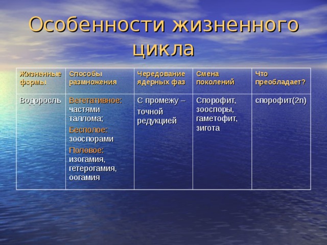 Особенности жизненного цикла Жизненные формы Способы размножения Водоросль Чередование ядерных фаз Вегетативное: частями таллома; Бесполое: зооспорами Половое: изогамия, гетерогамия, оогамия Смена поколений С промежу – точной редукцией Что преобладает? Спорофит, зооспоры, гаметофит, зигота спорофит(2n) 