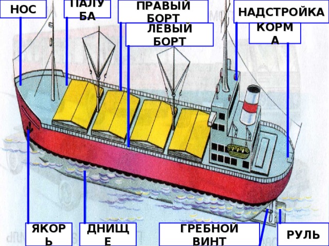 ПАЛУБА НАДСТРОЙКА ПРАВЫЙ БОРТ НОС КОРМА ЛЕВЫЙ БОРТ РУЛЬ ГРЕБНОЙ ВИНТ ДНИЩЕ ЯКОРЬ 