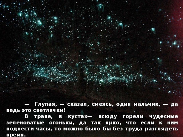  — Глупая, — сказал, смеясь, один мальчик, — да ведь это светлячки!  В траве, в кустах— всюду горели чудесные зеленоватые огоньки, да так ярко, что если к ним поднести часы, то можно было бы без труда разглядеть время.  
