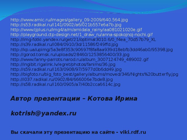 http://www.amic.ru/images/gallery_09-2009/640.564.jpg http://s53.radikal.ru/i141/0902/a6/021b557e6a7b.jpg http://www.ljplus.ru/img4/a/m/amidala_rainy/aa081021020e.gif http://playground.ctp-design.net/1_draw_ru/anna-spokojnoj-nochi.gif http://img-fotki.yandex.ru/get/21/optimal3010.6/0_f4ea_70d57b79_XL http://s39.radikal.ru/i084/0910/3d/11586f249ffd.jpg http://kp.ua/upimg/5a3e8f353c90697f8fa8aa939d18ebfb3dd46ab0/95398.jpg http://gorod.tomsk.ru/uploads/28460/1253856400/33.jpg http://www.fanny-parrots.narod.ru/album_3007124749_489002.gif http://ingibit.rigalink.lv/egret/photos/fanims/36.jpg http://s59.radikal.ru/i163/0908/97/5977d0b6dd49.jpg http://bigfoto.ru/big_foto_best/gallery/albums/moved/346/Nights%20butterfly.jpg http://i037.radikal.ru/0902/84/666006e7bde8.jpg http://s58.radikal.ru/i160/0905/a7/40b2cca6614c.jpg Автор презентации – Котова Ирина   kotrish@yandex.ru  Вы скачали эту презентацию на сайте - viki.rdf.ru  