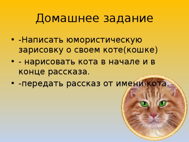 Кот ворюга план рассказа 3 класс